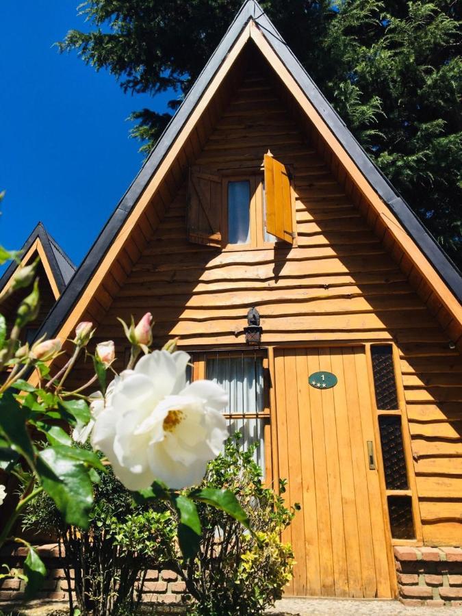Cabanas Chapelco サンマルティン エクステリア 写真